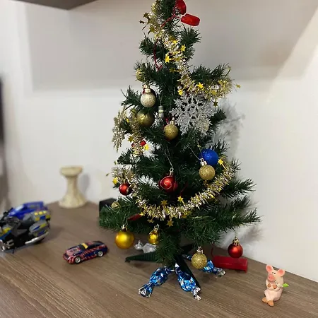 Apartament Studio Dristor *