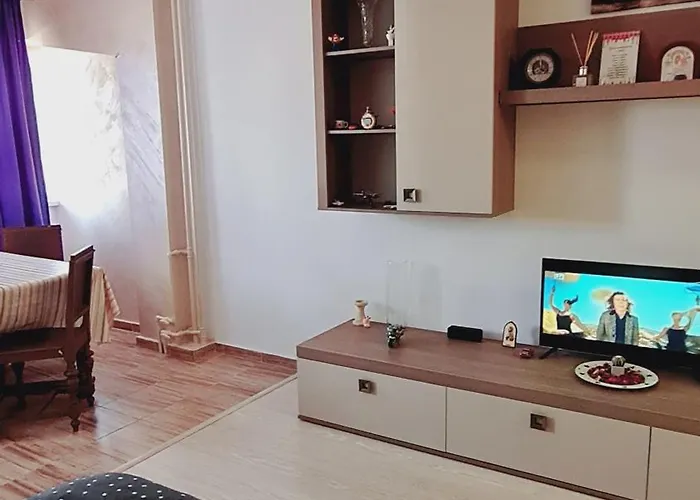 Apartament Studio Dristor *