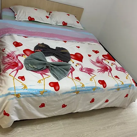 Studio Dristor Apartament *